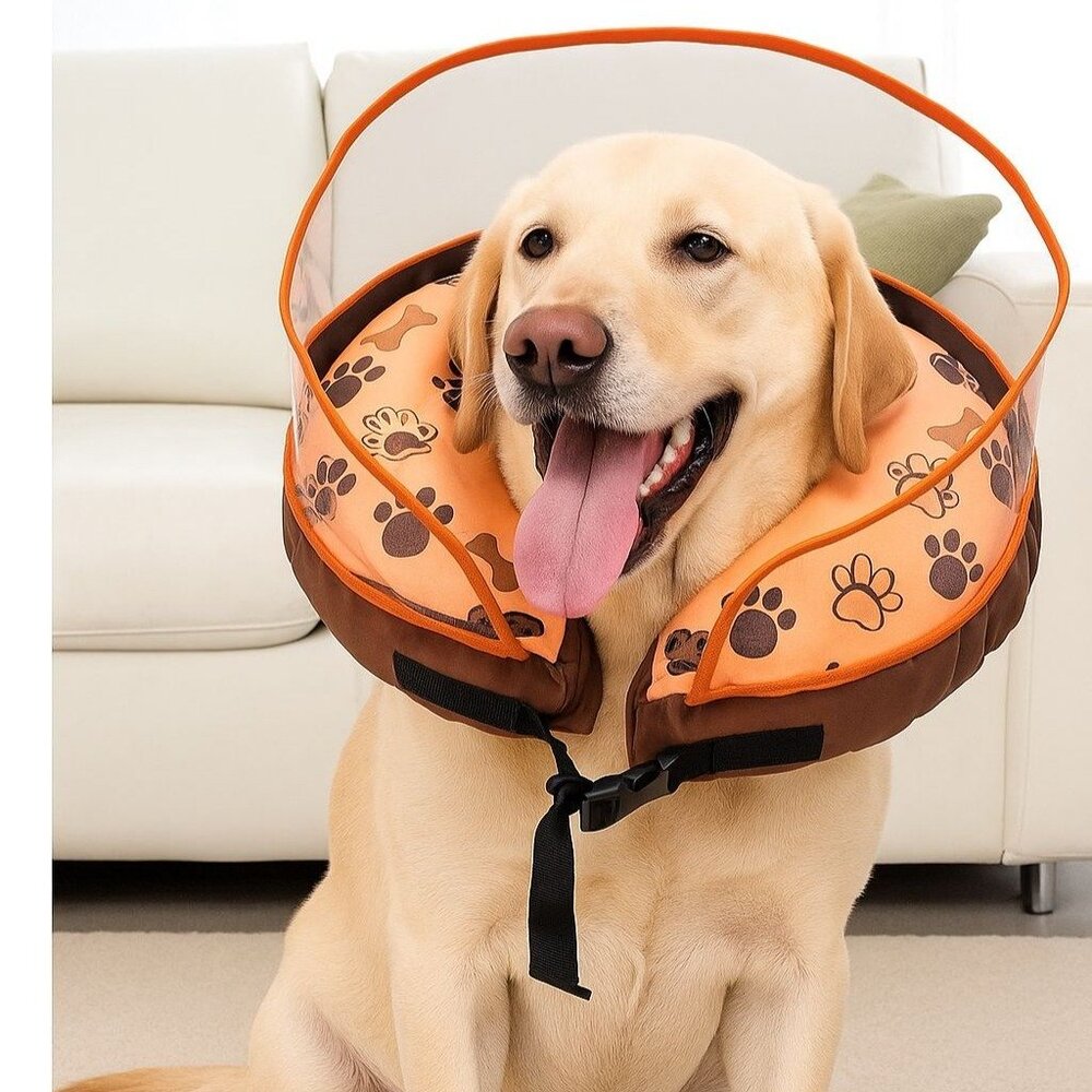 Dog Neck Cones Donut Collar Loops Medium Waterproof Surgery Inflatable Licking